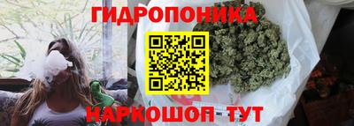 гашик Апрелевка