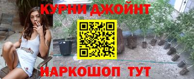 трава Аргун
