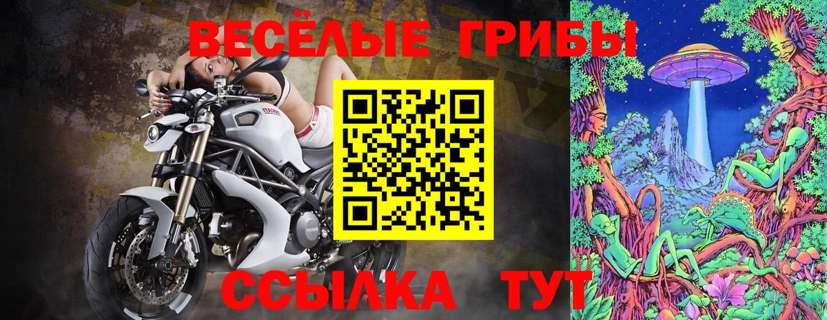 Псилоцибиновые грибы GOLDEN TEACHER Апрелевка